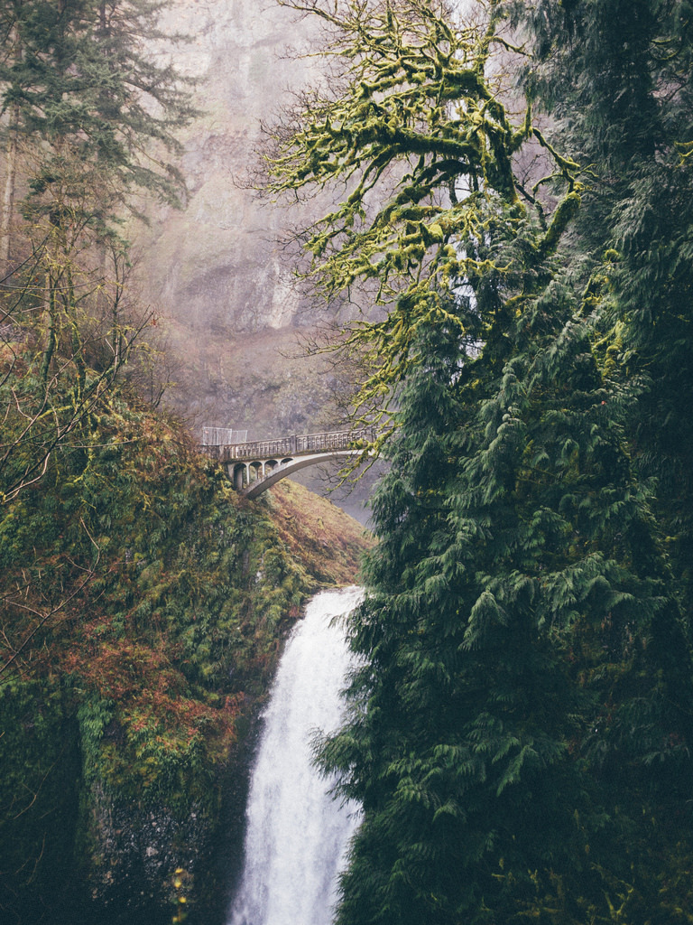 brutalgeneration:  Multnomah Falls. Mount Hood National Forest, OR. (by m. wriston)