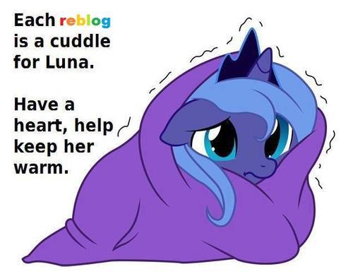 datcatwhatcameback:  datsweetberrypunch:  ask-alicorn-rarity:  toughlove-lovestruck: