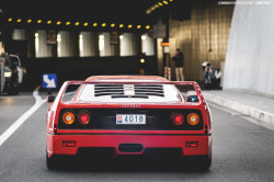 itcars:  Ferrari F40Image by Gaetan D.Website