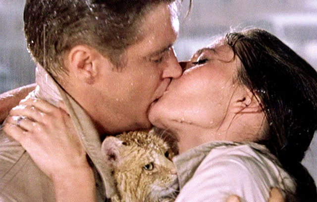 o0oo00oo0o:  fave scene- the cat looks like it’s loving life.. 