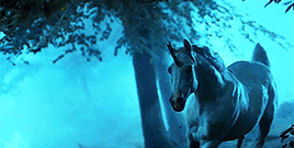 darlingbuck:  Blade Runner (1982)    I’ve seen things you people wouldn’t believe…