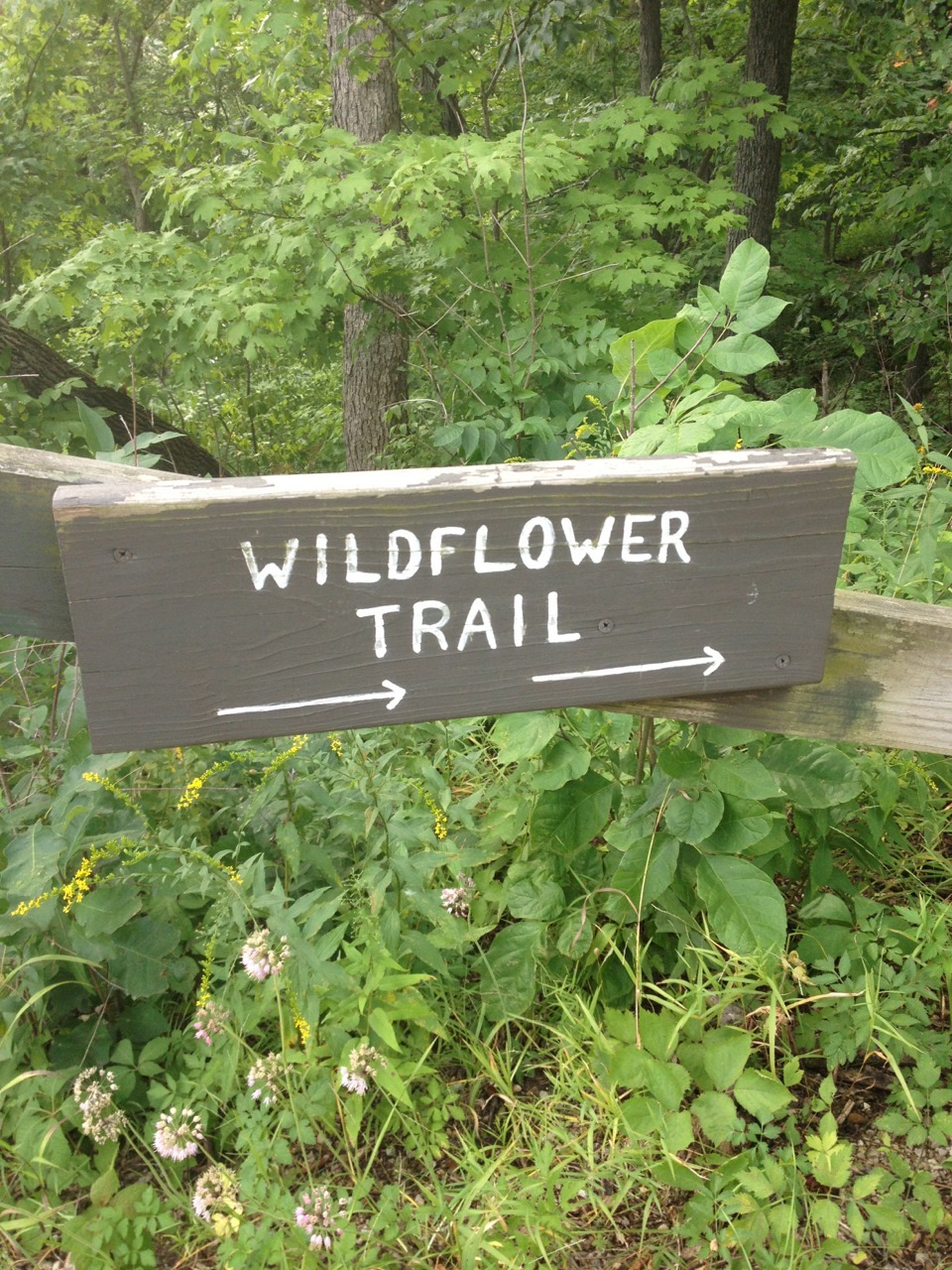 found botanical gardens (✿◠‿◠)