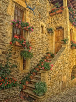 bluepueblo:  Entry Stairway, Aveyron, France