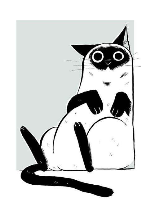 snootyfoxfashion: Cat Prints by EmiTownShop x / xx / xx / xx / x 