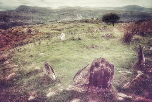 Unnamed Stone Circle, Rhinogau, North Wales, 1.8.18.One of the most beautiful and serene prehistoric