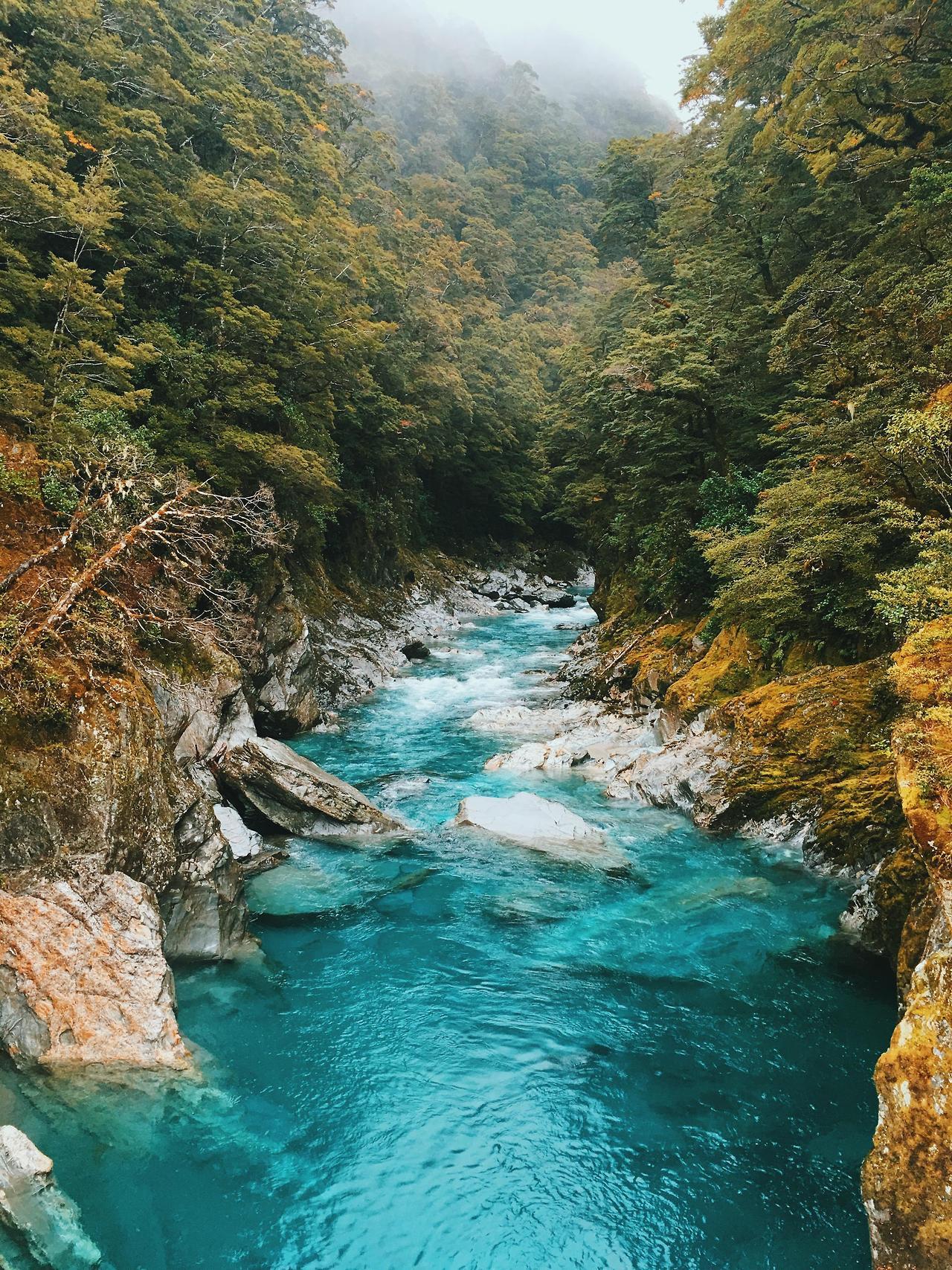 forest-nation:by ut-tair