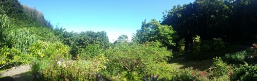 Easy Garden Trail After Intense Kayak Adventure.
