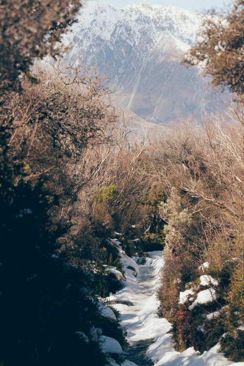 Aoraki National Park