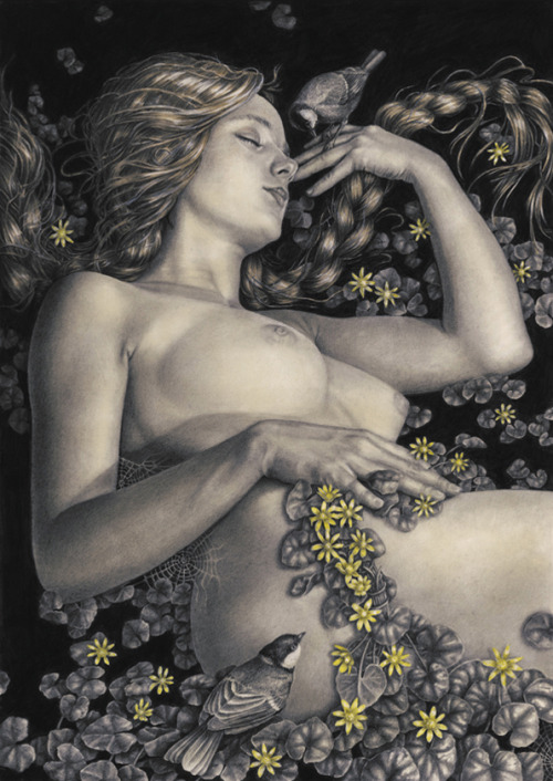 artforadults:  Anna Rogowska 