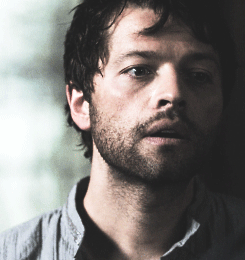luciferstark:  spn meme: twenty episodes - [the end].