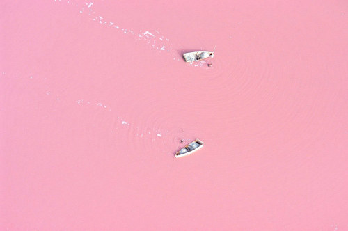 These pictures maybe misleading. The top one looks like it was taken at Lake Hillier, a lake on an i