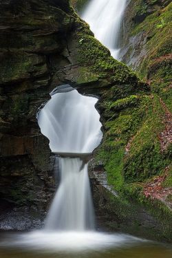 mapleshield:  Merlin’s Well, Cornwall, England by rarecollection.ch on Flickr 