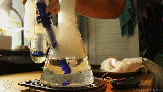 weedporndaily:  up and in (x)