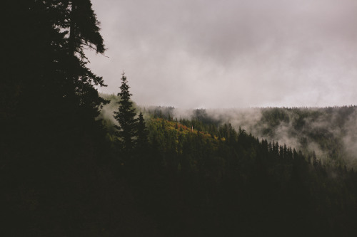 determinate:  My blog will make you realize how beautiful you are! 