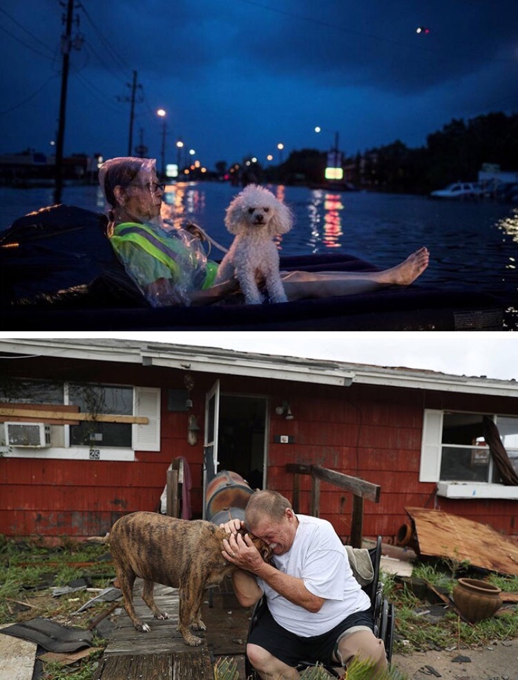 caitlinmaghan:  stateofdecline79:  southernsideofme:Texans have shown the world what