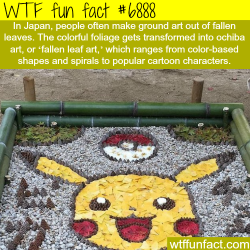 wtf-fun-factss:Fallen leaf art in Japan -