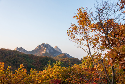 Autumn colors in Bukhansan National Park.