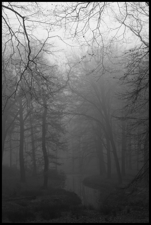 theodorversteegen:Misty morning fogby Theodor Versteegen - 2016