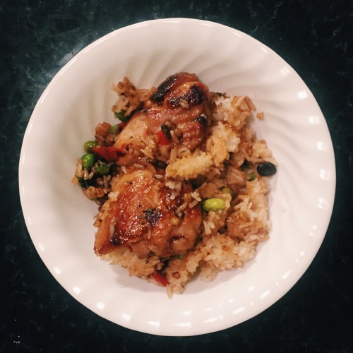 January 23, 2016Experimenting with creating different kinds of fried rice recipes:Teriyaki chickenWh