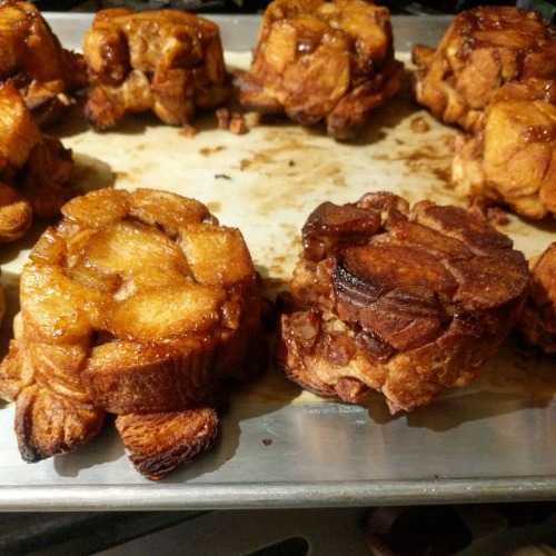 Large muffin pan vs 4" springform for sticky buns; a comparison. Thermal load is easier to deal