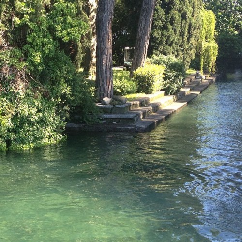 lovlae:boringangel:lesgardenias:back to reading in the gardens of Italian villas… (à Garda Lake, Sir