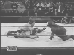 idontlikewrestling:  don’t trust heyman. 