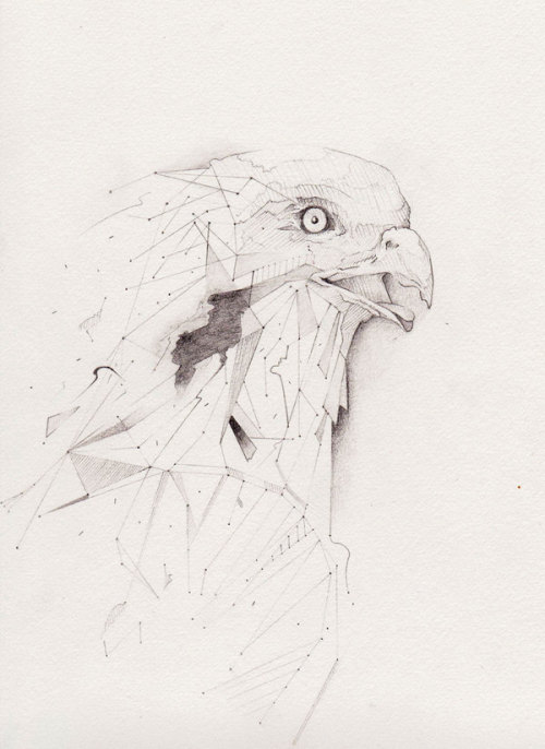 unknowneditors:  Illustrations by Paul Wischnewski