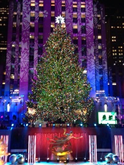 nbcnews:  The Rockefeller Center Christmas Tree in all its glory!