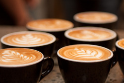 moccaonyourcoffee:  creamy milky leafs (Source: CairnsDining’s photostream) 