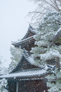 iesuuyr: Kyoto, Japan | HanWen Chen 	  	