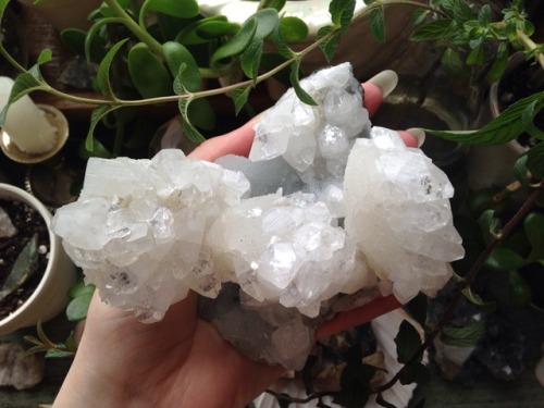 floralwaterwitch - My gorgeous apophyllite cluster ✨