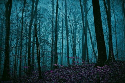 Have Some Beautiful Nature 