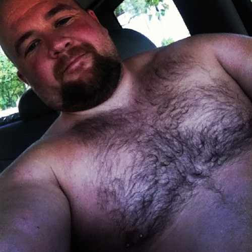 Porn Pics superbears:  PERFECT CHEST, SUPER CUTE FACE