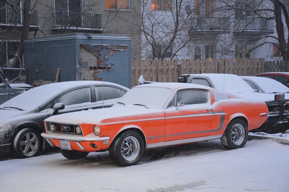 carsartandarchitecture:  Snow day in Montreal, not a good day to drive your fancy
