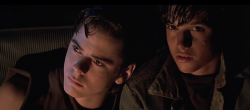 thegreaserclub:  The Outsiders (1983)