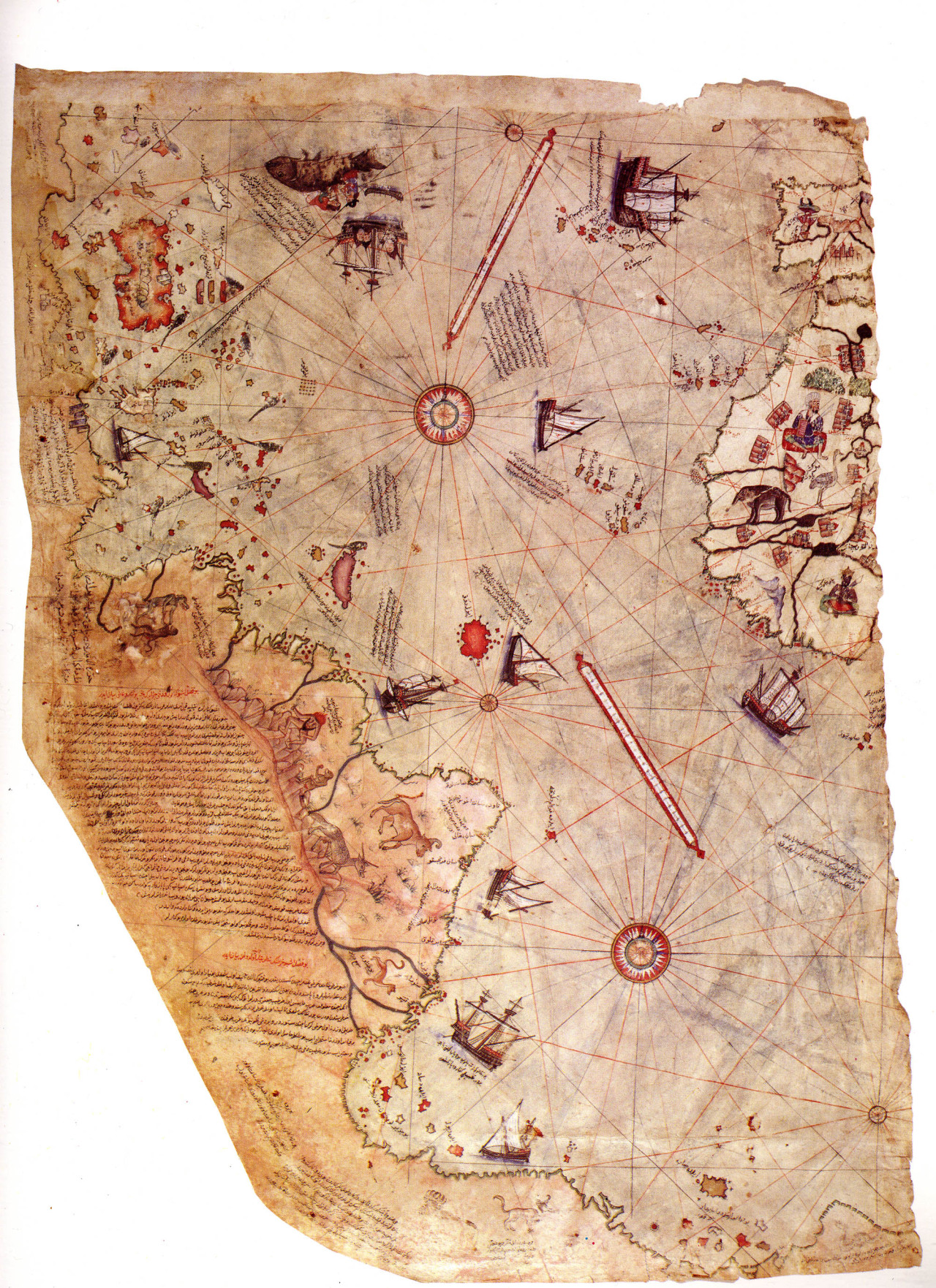 Piri reis map