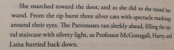 my-hp-feels:  weasleysrbloodtraitorsnotfriends:  siriusly-remusx:  amarguerite:  I forgot that Minerva McGonagall’s Patronus was HERSELF.  Only McGonagall can protect McGonagall.   3 PATRONUSES  Like a boss