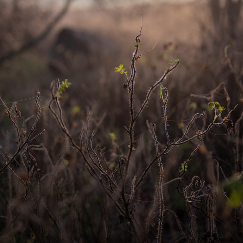 ullathynell:One fine November morning in Helsinki