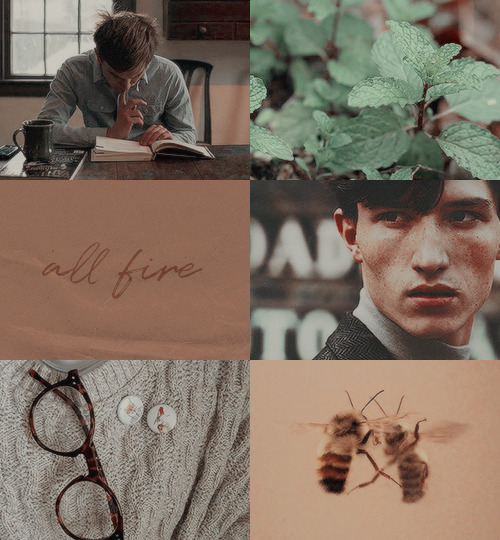 ohnoah: richard campbell gansey iii: the head is too wise. the heart is all fire.maggie stiefvaterx 