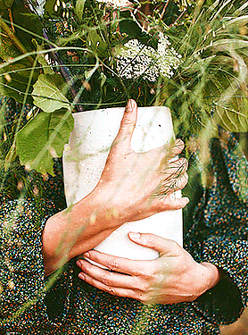 Green Witch
