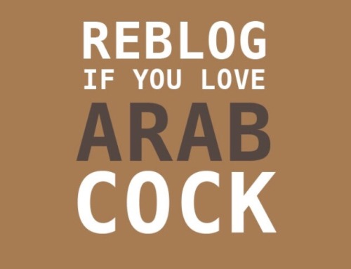 bunnyformuslims: a must-reblog for me haha <3