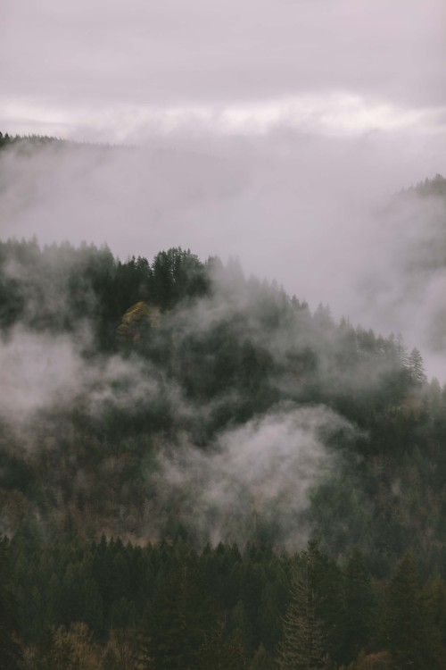 spudthesoundguy: Best views in the Pacific Northwest are always foggy views.  Prints available 