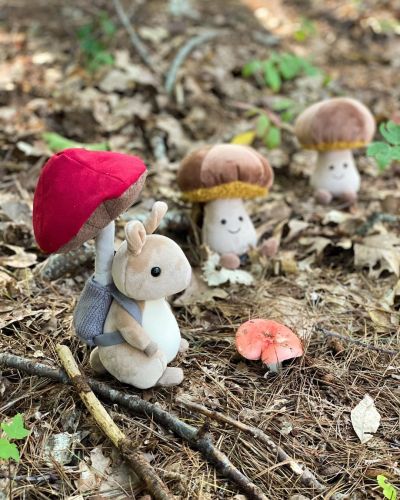 sharieclair:Jellycat Fungi Forager Bunny & Amusable Toadstools! 🍄🍂(Source)