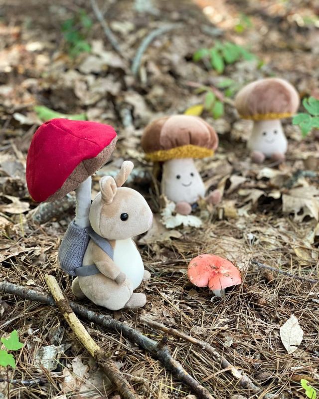 sharieclair:Jellycat Fungi Forager Bunny & Amusable Toadstools! 🍄🍂(Source)