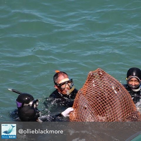 Repost from @ollieblackmore using @RepostRegramApp - This happened today in #taiji #japan. Another #