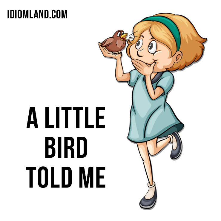 Idiom Land idiom-land