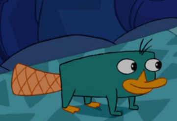 funshinebf:i fucking love perry the platypus cause hes like a really fucking good secret agent and hes great at fighting but he also looks like this
