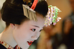 okiya:  Maiko Tomitae, Gion Higashi (via