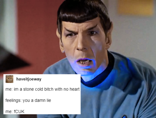 tribbleclefs:And now, crew, I will render [Star Trek TOS + text posts] ONE MORE TIME !(please, not a