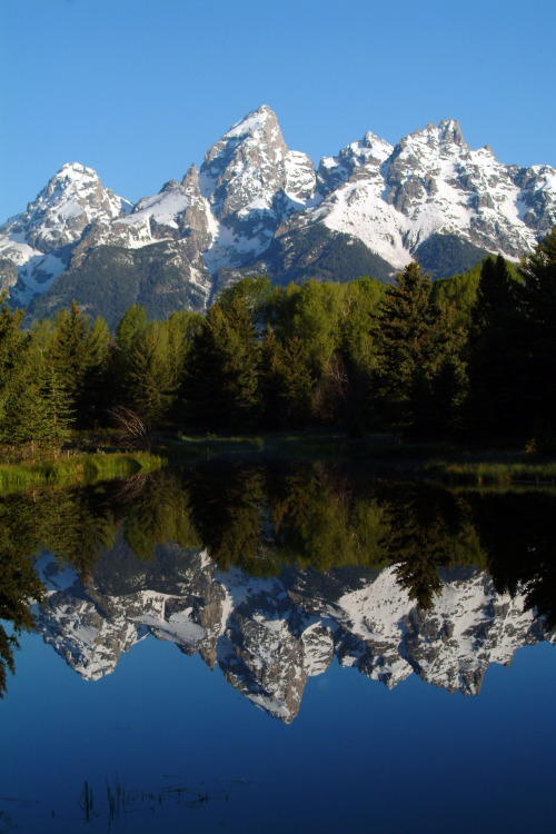 kqedscience:The National Parks: America’s Best Idea Can you name the first National Park founded? Se